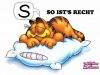 Garfield Dormindo