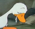A História do Patinho Feio pela Disney A História do Patinho Feio pela Disney
