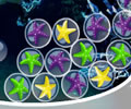 Fish Tank Bomb - Destruindo as bolinhas