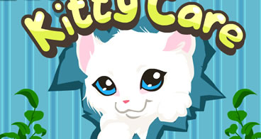 Cuidando corretamente das gatinhas no petshop