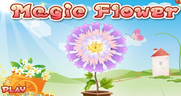 Flor Mágica