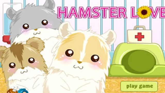 Aprendendo a Cuidar dos Hamster